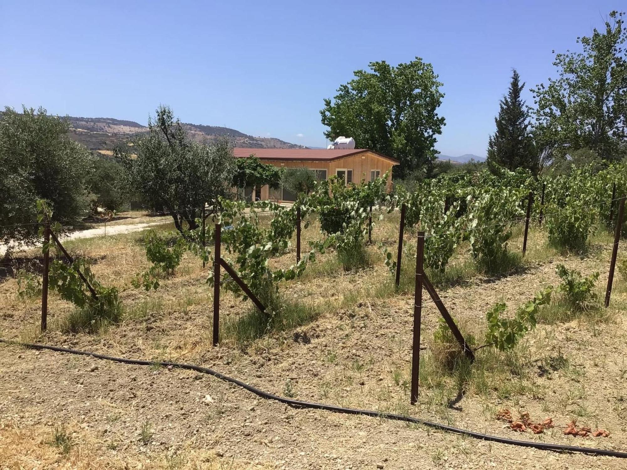Pervolaris Cottages 1 Gudí Kültér fotó